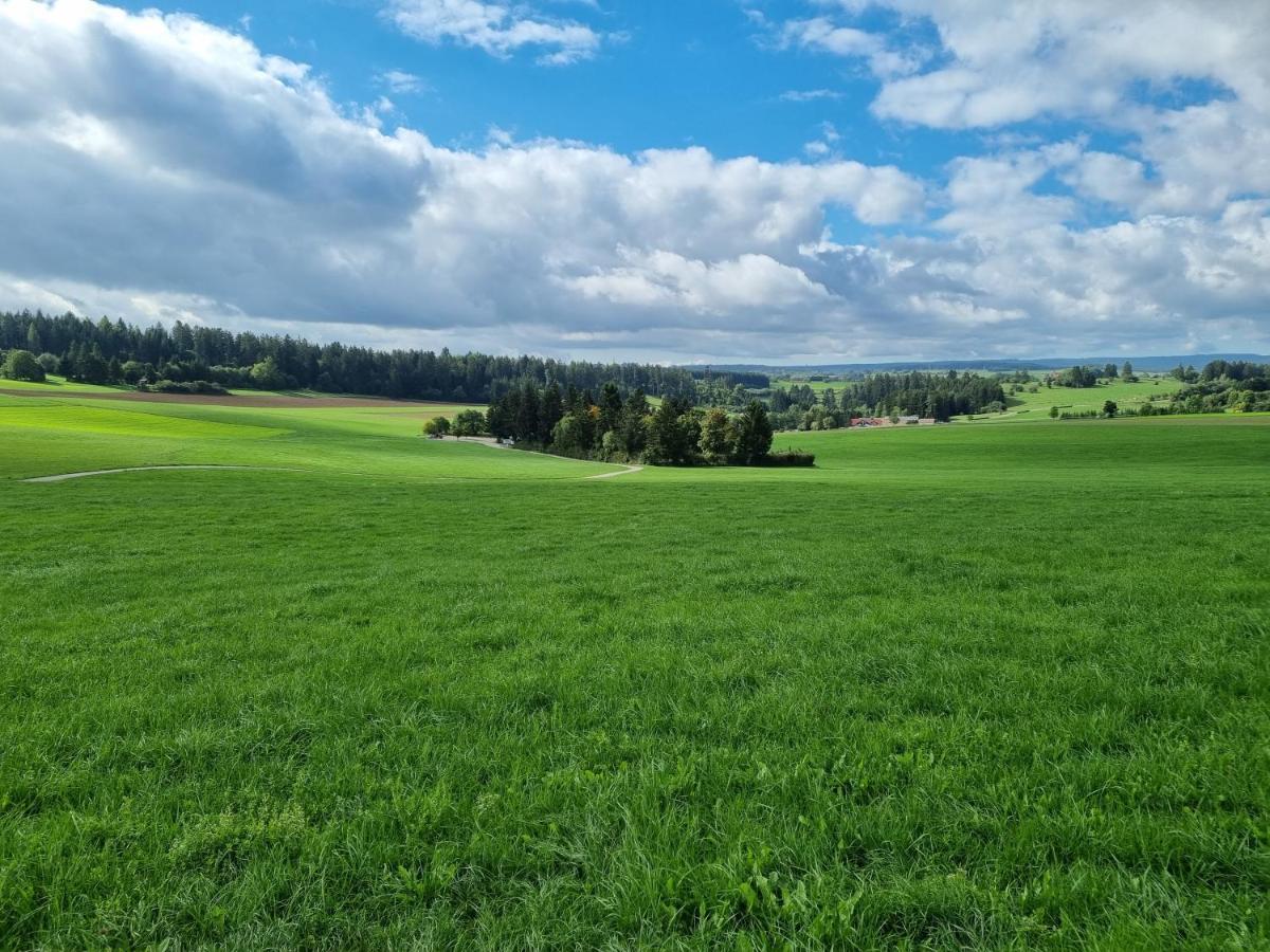 Modern Eingerichtete 3-Zi-Ferienwohnung Zu Vermieten Loeffingen Luaran gambar